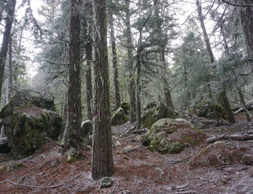 June Conservation Column – Desecration of Saint Paul Mountian