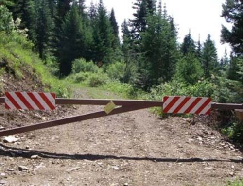 September Conservation Column – Roadless Rule Comments Due
